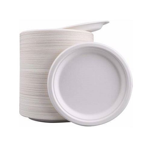 https://offikart.s3.ap-south-1.amazonaws.com/uploads/products/cheap-biodegradable-paper-plates-pack-of-100-pantry-supplies-ahmedabad-gujarat-india-offikart.jpeg
